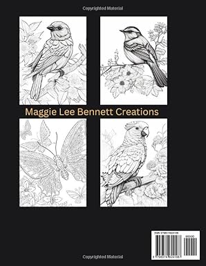 Relaxing Entertainment: Most Beautiful Art for Stress Relief, Anxiety, Calming, Soothing ... & Meditation. 100 pages. 8.5x11 Inches.