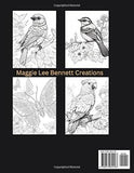 Relaxing Entertainment: Most Beautiful Art for Stress Relief, Anxiety, Calming, Soothing ... & Meditation. 100 pages. 8.5x11 Inches.