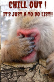 Chill Out! It's Just A To-Do List!: Stop Freaking Out Over What You Need To Do. A Notebook To Keep You Organized.