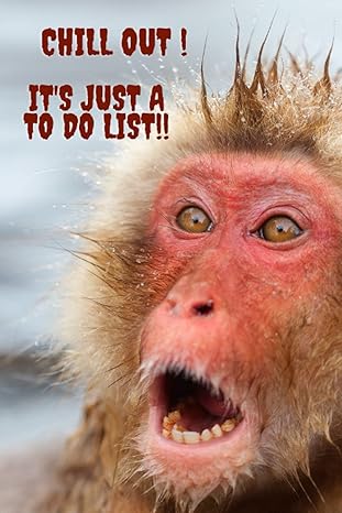 Chill Out! It's Just A To-Do List!: Stop Freaking Out Over What You Need To Do. A Notebook To Keep You Organized.